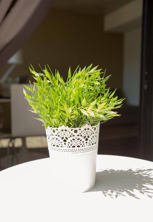 Aveiro Urban Flat Apartment Phòng bức ảnh